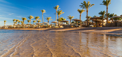 Hôtel Amphoras Aqua 4* Adult Only + 12, Séjour Egypte par Ôvoyages Hôtel Amphoras Aqua 4* Adult Only + 12, Séjour Egypte par Ôvoyages