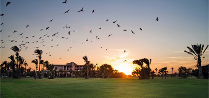Ôclub Select Pickalbatros Hotel du Golf 5* Adult Only +18, Séjour Maroc, Marrakech par Ôvoyages Ôclub Select Pickalbatros Hotel du Golf 5* Adult Only +18, Séjour Maroc, Marrakech par Ôvoyages