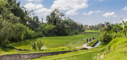Ôcombiné - Bali, rizières d’Ubud & plage de Sanur 4*, Combiné Indonésie, Bali par Ôvoyages Ôcombiné - Bali, rizières d’Ubud & plage de Sanur 4*, Combiné Indonésie, Bali par Ôvoyages