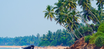 Combiné Balade Sri Lankaise en privatif 4* & Ôclub Zen Avani Kalutara 4* Sup., Circuit Sri Lanka par Ôvoyages Combiné Balade Sri Lankaise en privatif 4* & Ôclub Zen Avani Kalutara 4* Sup., Circuit Sri Lanka par Ôvoyages
