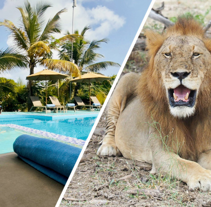 Combiné Smart Club Malika Nungwi 4* + Safari 1 nuit dans la réserve de Selous, Séjour Tanzanie, Zanzibar par Ôvoyages Combiné Smart Club Malika Nungwi 4* + Safari 1 nuit dans la réserve de Selous, Séjour Tanzanie, Zanzibar par Ôvoyages