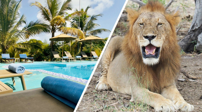 Combiné Smart Club Malika Nungwi 4* + Safari 1 nuit dans la réserve de Selous, Séjour Tanzanie, Zanzibar par Ôvoyages Combiné Smart Club Malika Nungwi 4* + Safari 1 nuit dans la réserve de Selous, Séjour Tanzanie, Zanzibar par Ôvoyages