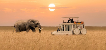 Circuit Safari Inoubliable au Kenya 4*/5*, Circuit Kenya par Ôvoyages Circuit Safari Inoubliable au Kenya 4*/5*, Circuit Kenya par Ôvoyages