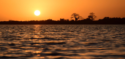 Combiné Circuit Balade Sénégalaise 3* & Ôclub Experience African Village Bougainvillées 3*, Circuit Sénégal par Ôvoyages Combiné Circuit Balade Sénégalaise 3* & Ôclub Experience African Village Bougainvillées 3*, Circuit Sénégal par Ôvoyages