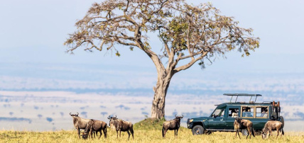 Ôcircuit Evasion - Safari Kenya, Masai Mara & plage en Ôclub 4*, Circuit Kenya par Ôvoyages Ôcircuit Evasion - Safari Kenya, Masai Mara & plage en Ôclub 4*, Circuit Kenya par Ôvoyages