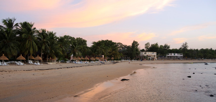Combiné Circuit Découverte de la Mangrove 3* & Ôclub Experience African Village Bougainvillées 3*, Circuit Sénégal par Ôvoyages Combiné Circuit Découverte de la Mangrove 3* & Ôclub Experience African Village Bougainvillées 3*, Circuit Sénégal par Ôvoyages