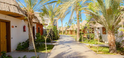 Ôclub Experience Panorama Bungalows Resort El Gouna 4*, Séjour Egypte, Hurghada par Ôvoyages Ôclub Experience Panorama Bungalows Resort El Gouna 4*, Séjour Egypte, Hurghada par Ôvoyages