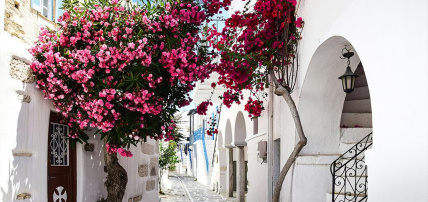 Combiné Athènes & île de Paros 2* ou 3*, Combiné Grèce & ses îles, Cyclades, Paros par Ôvoyages Combiné Athènes & île de Paros 2* ou 3*, Combiné Grèce & ses îles, Cyclades, Paros par Ôvoyages