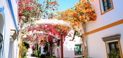 Hôtel LIVVO Koala Garden 4* by Ôvoyages, Séjour Espagne & ses îles, Canaries, Grande Canarie par Ôvoyages Hôtel LIVVO Koala Garden 4* by Ôvoyages, Séjour Espagne & ses îles, Canaries, Grande Canarie par Ôvoyages