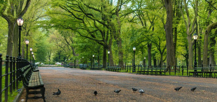 Escapade New Yorkaise avec visites incluses, Circuit Etats-Unis, New York par Ôvoyages Escapade New Yorkaise avec visites incluses, Circuit Etats-Unis, New York par Ôvoyages